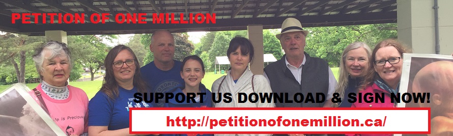 CLICK IMAGE TO OPEN IN A NEW PAGE..